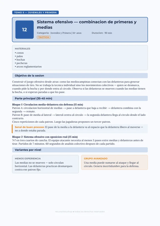 Ficha Juveniles: sistema ofensivo